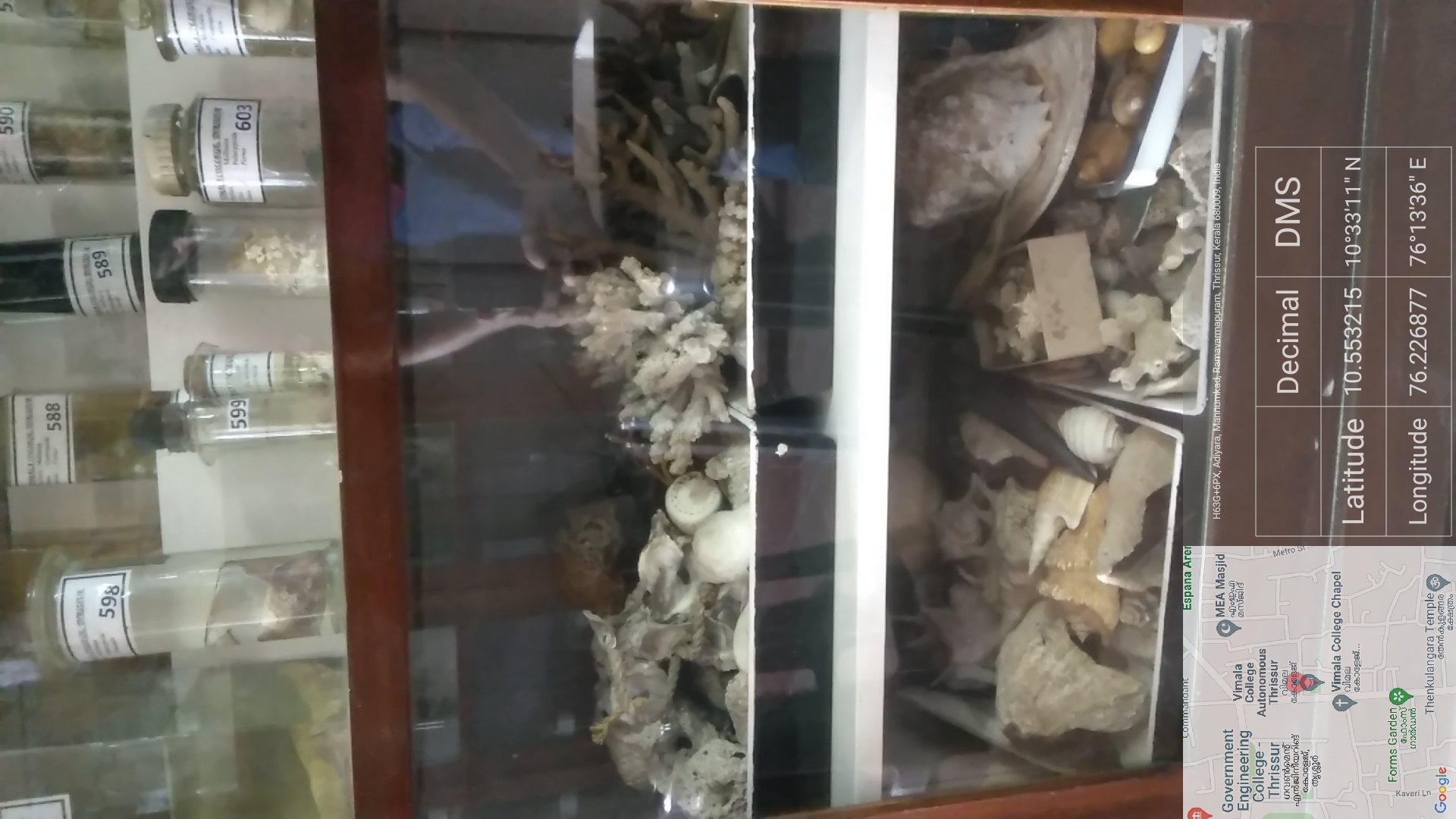 Zoology Museum